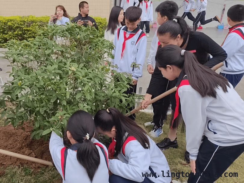 潮州饶平：以主题教育实践活动滋养青少年心灵