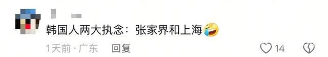金句喊出张家界，韩国游客缘何钟情？