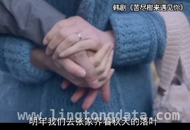 金句喊出张家界，韩国游客缘何钟情？