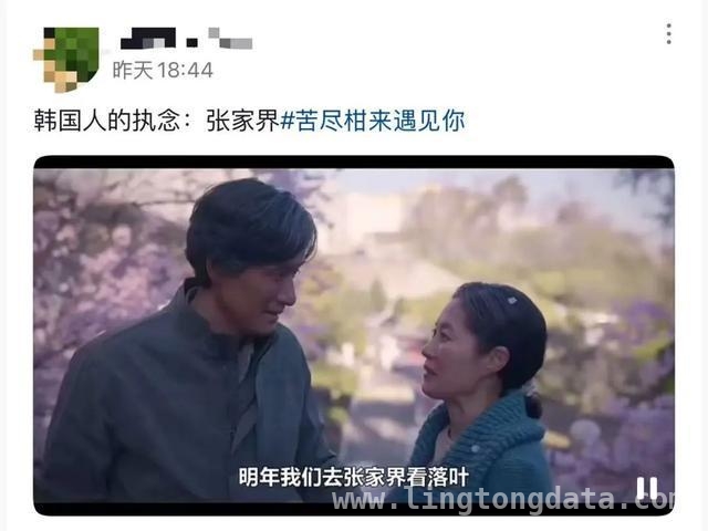 金句喊出张家界，韩国游客缘何钟情？