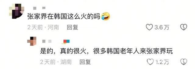 金句喊出张家界，韩国游客缘何钟情？