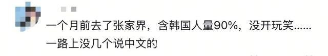 金句喊出张家界，韩国游客缘何钟情？