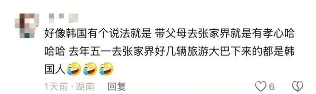 金句喊出张家界，韩国游客缘何钟情？
