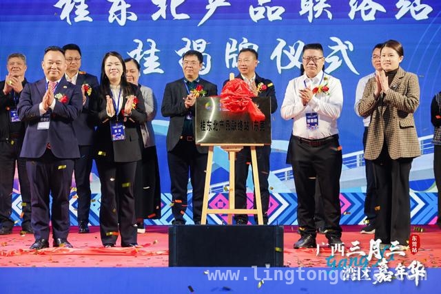 广西三月三·湾区嘉年华：开启粤桂文旅合作新征程