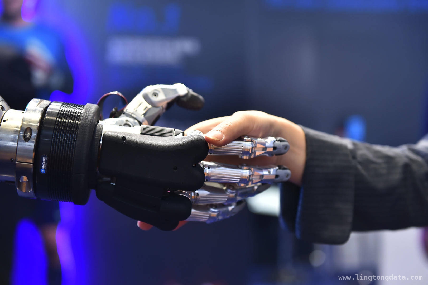 2025中关村论坛聚焦AI，AI应用爆发元年将至？，AI浪潮来袭，2025中关村论坛探寻AGI之路