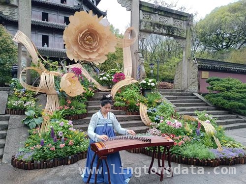 杭菏双城牡丹展，千年文化邂逅盛启