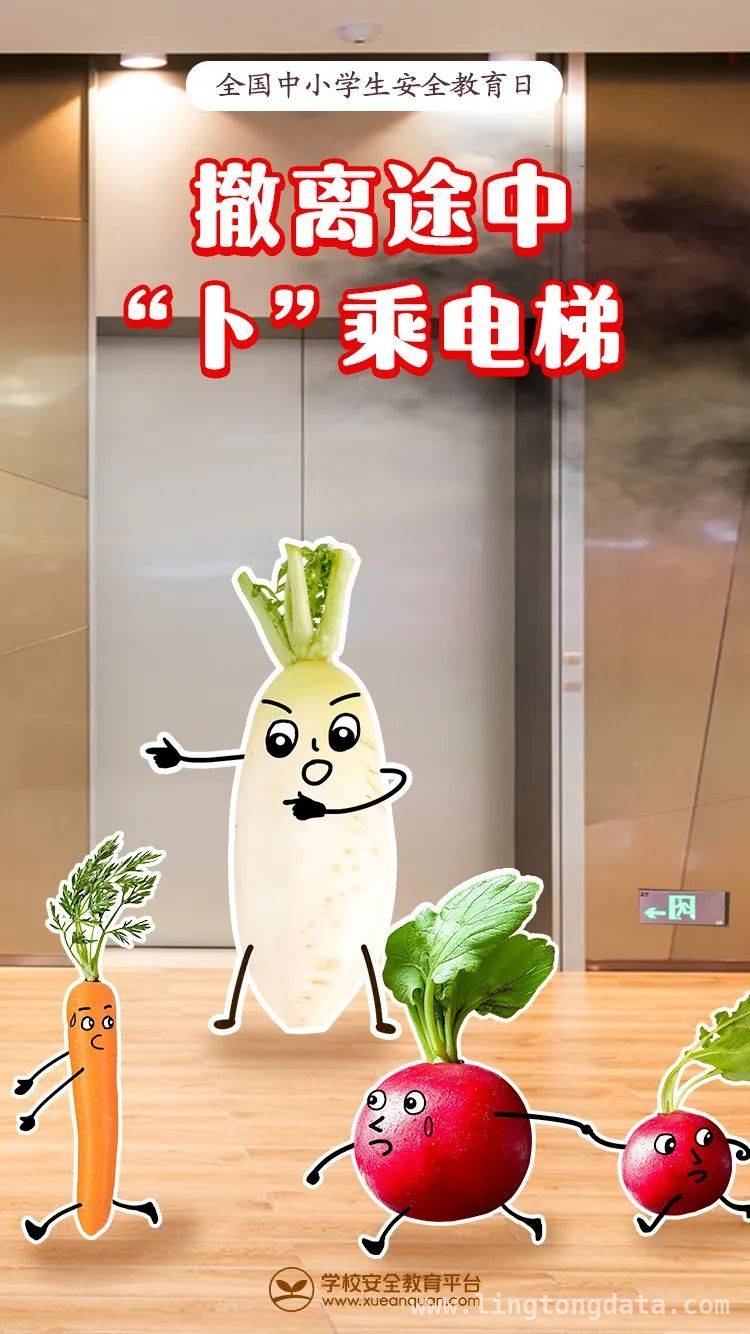 生命至上，家校共筑孩子安全长城 第30个安全教育日，为孩子筑牢安全防线