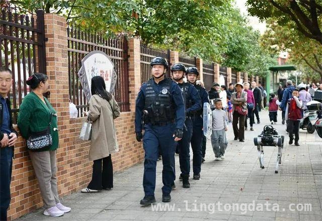 曲靖一小学门口，机器警犬“闪亮登场”！