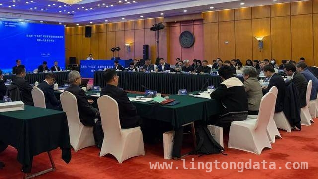 深圳“十五五”规划专家献策，共绘城市未来五年宏伟蓝图，深圳“十五五”规划专家委员会成立，为城市发展注入强大智慧力量
