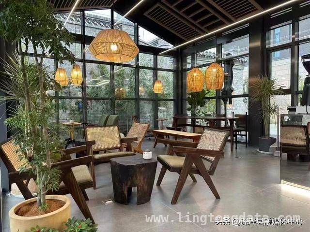 雄安“雄才会客厅”：让人才邂逅诗意与梦想，“乡愁树”下的雄安：“雄才会客厅”开启人才新征程