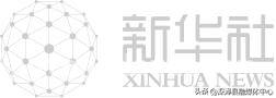 雄安“雄才会客厅”：让人才邂逅诗意与梦想，“乡愁树”下的雄安：“雄才会客厅”开启人才新征程