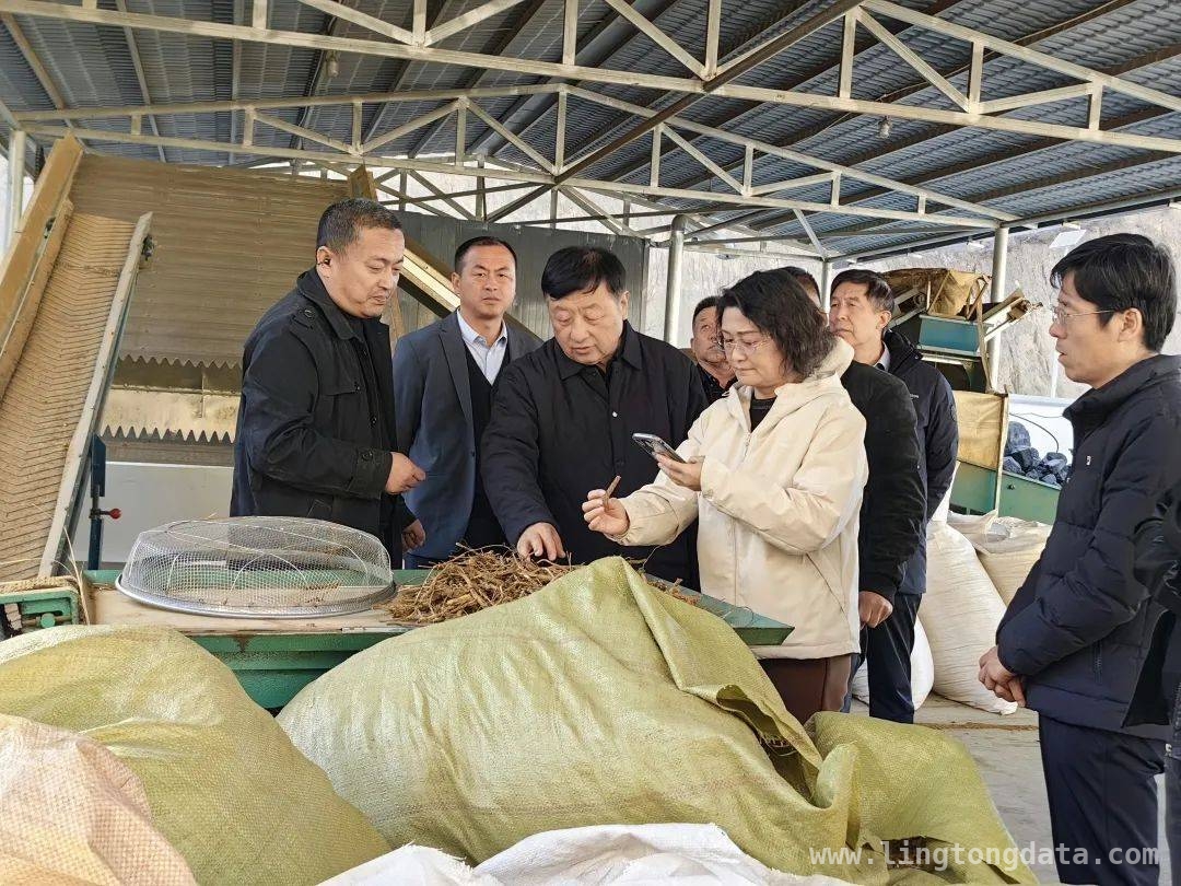 榆阳“头雁”项目获专家实地指导，农业发展添新动力，专家回访榆阳“头雁”学员，助力特色农业产业腾飞