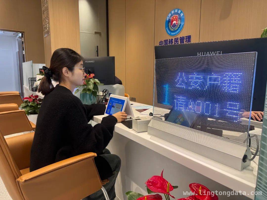 西岑国际人才港：多举措优化服务，打造人才理想港湾，西岑国际人才港：创新服务模式，为人才发展添动力