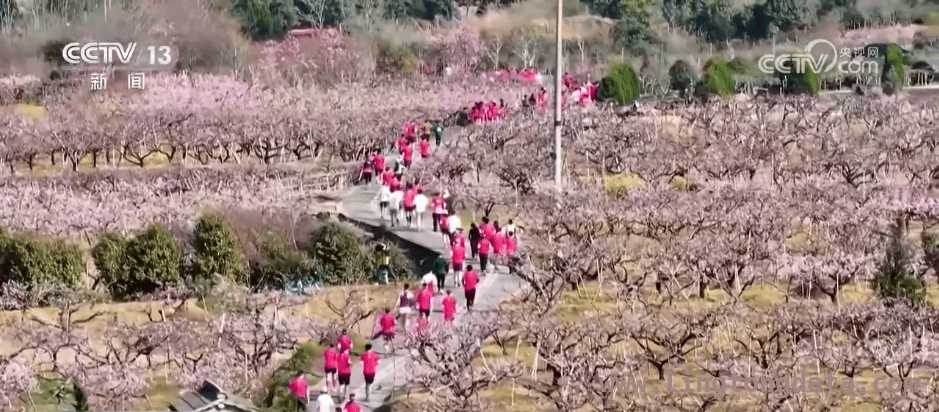 春日赛事热潮：体育经济的新活力 赛事狂欢，拉动春日经济腾飞