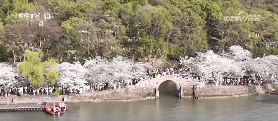 春日赛事热潮：体育经济的新活力 赛事狂欢，拉动春日经济腾飞