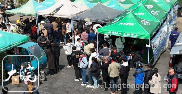 “盒饭姐”摊上浪费事，人气依旧挡不住！