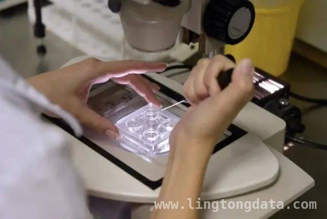 近两千美国科学家签公开信，特朗普政府科研决策受抨击