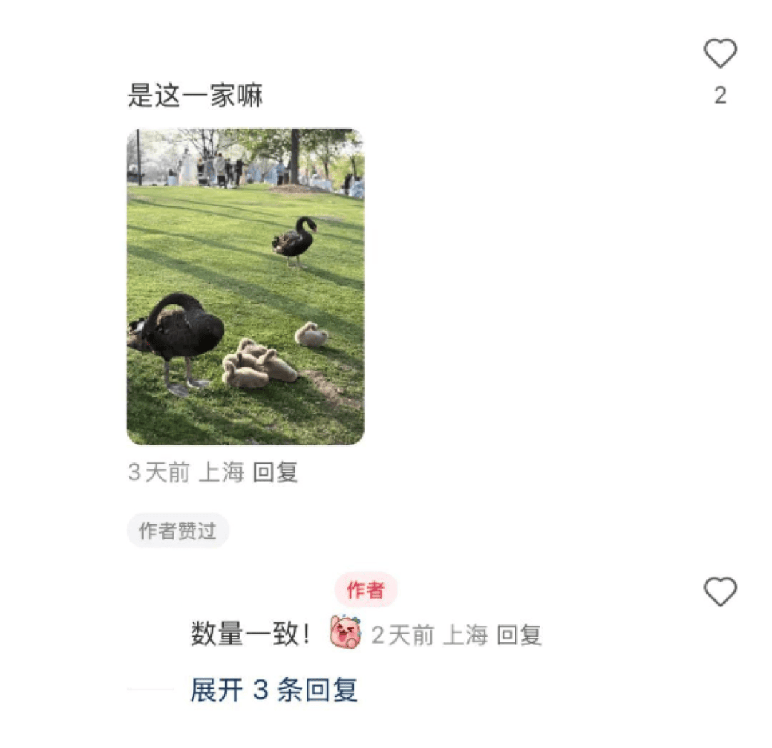 武汉理工大学：动物趣事不断，萌态治愈你我！ 哇塞！武汉理工这些小动物成校园“宝藏”啦！