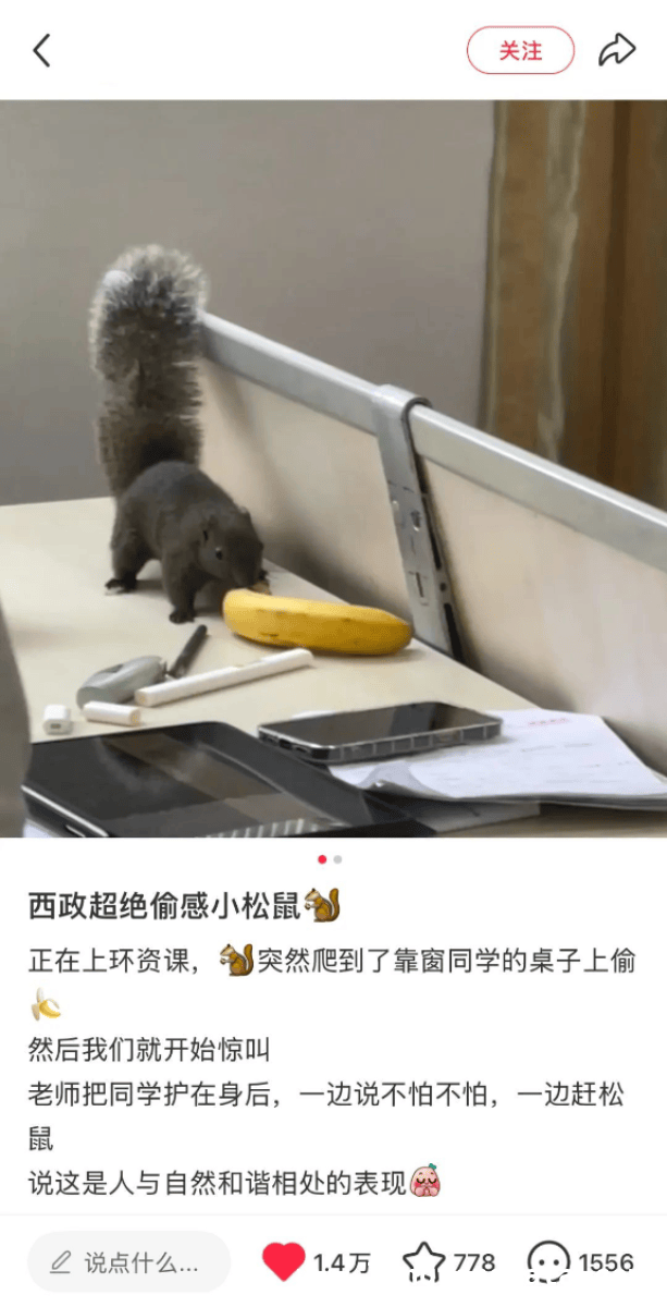 武汉理工大学：动物趣事不断，萌态治愈你我！ 哇塞！武汉理工这些小动物成校园“宝藏”啦！
