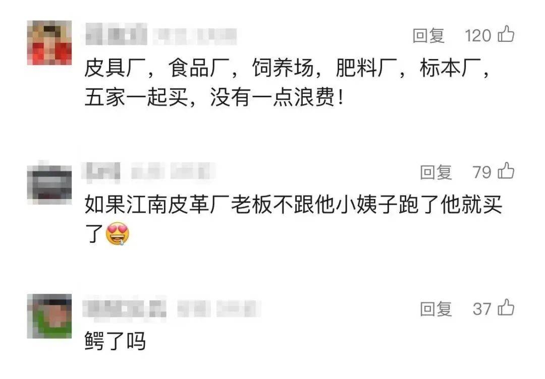 司法拍卖新花样：活鳄鱼、雪碧汽水齐上阵！ 惊！司法拍卖现活鳄鱼，还有这些稀罕物！