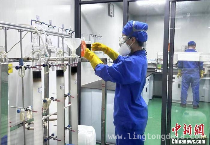 海南自贸港携手大湾区，海口高新区产业发展势头正猛，海南自贸港与大湾区产业合作，海口高新区奏响发展强音