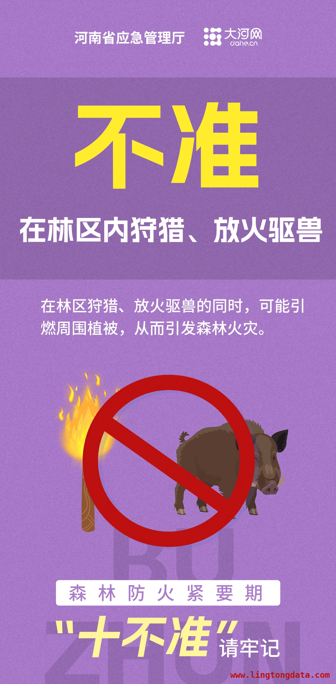 春日森林火险高发，这些案例与法规你要知道，春季森林火灾来袭，从案例看法规重要性