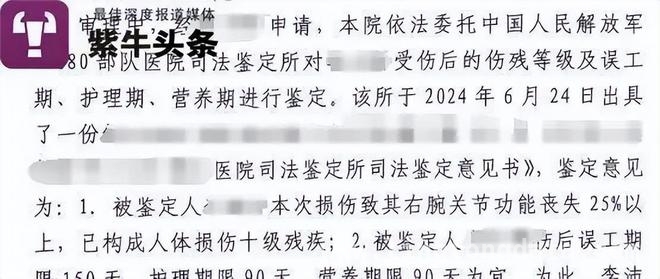 女子美人鱼大赛训练遭鲨鱼咬伤，法院判决引争议，女子美人鱼训练遇鲨灾，责任划分引当事人不满