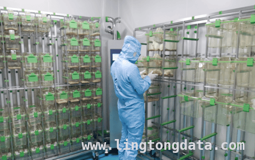 粒成生物：用实验室力量引领生物科技未来
