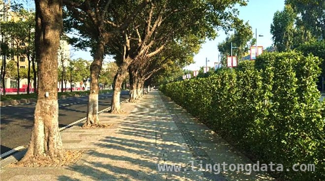 广州借全运会东风，场馆周边改造提升城市品质