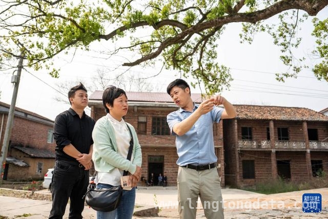 吴磊：以自然疗法为湖南古树“治病”，中南林业专家吴磊：让湖南濒危古树“病有所医”