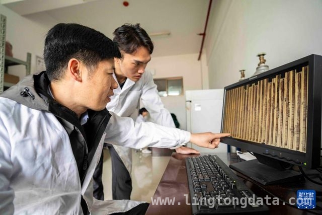 吴磊：以自然疗法为湖南古树“治病”，中南林业专家吴磊：让湖南濒危古树“病有所医”