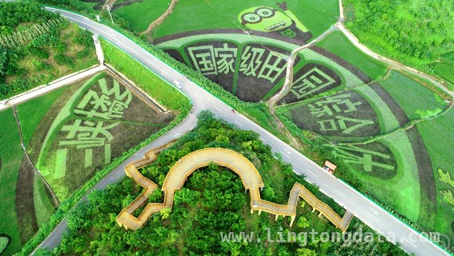追春之旅，跟着“花开三峡 香约忠州”线路感受春日浪漫，文旅部推乡村旅游线路，重庆忠县这条赏花路线太绝了！