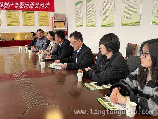 产业顾问组为睢县辣椒“把脉开方”，乡村振兴添动力
