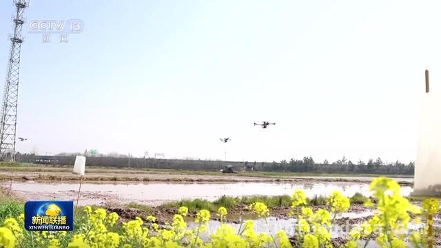2025年春耕大幕开启，多省发力保障粮食生产