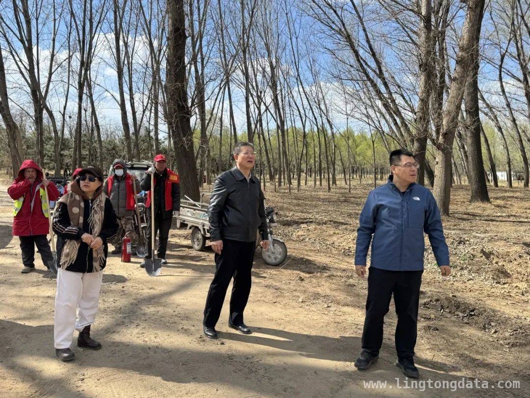 清明时节，镇各部门全力保障祭扫安全有序，清明期间，镇各部门积极行动保障绿色文明祭扫
