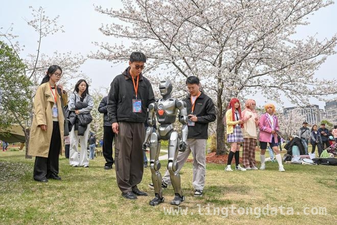 上海顾村公园：机器人陪你赏樱过科技之春