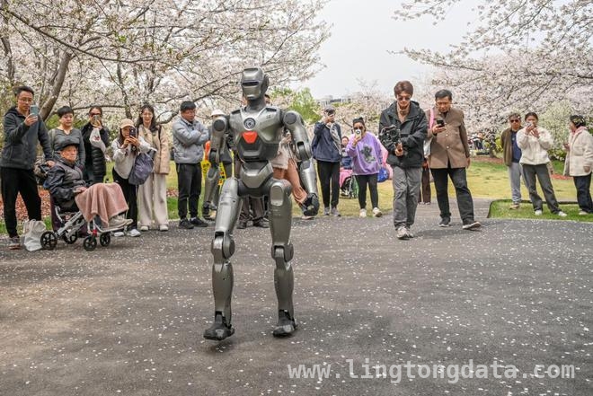 上海顾村公园：机器人陪你赏樱过科技之春