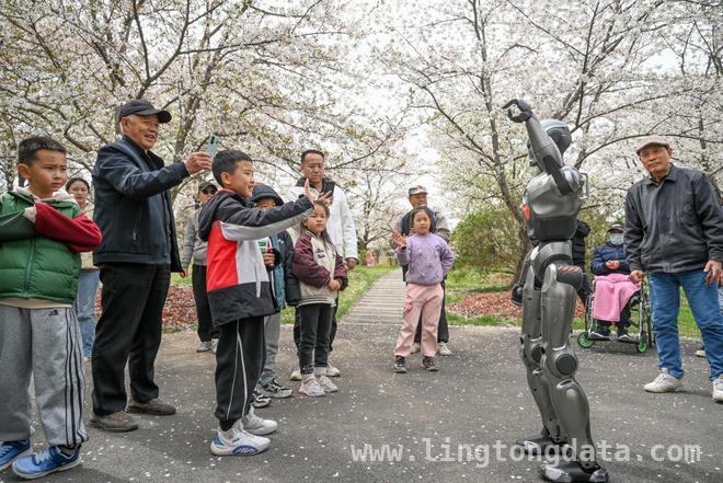 上海顾村公园：机器人陪你赏樱过科技之春