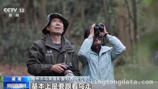 张吉安30年坚守：用影像守护鸟类家园，“摄鸟达人”张吉安：用镜头记录郴州鸟类家园变迁