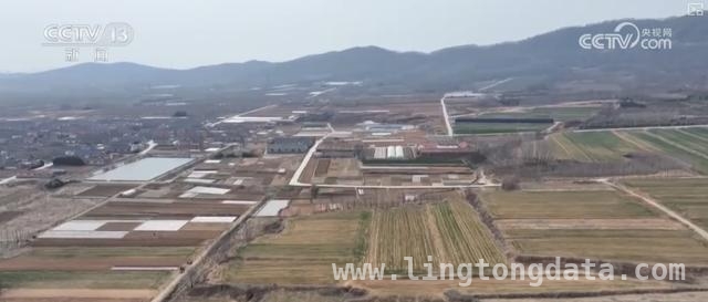 2025威海春耕：多举措提升粮食单产