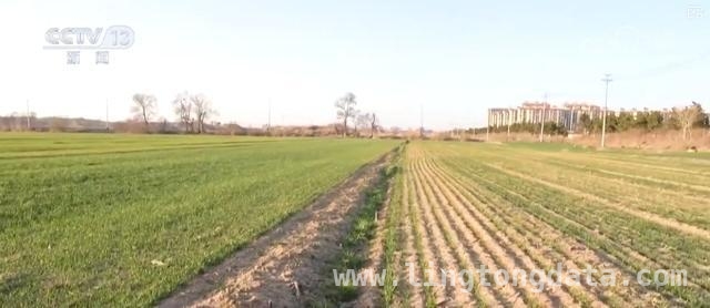 2025威海春耕：多举措提升粮食单产