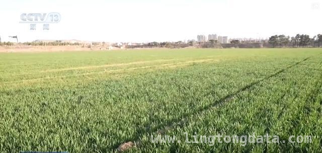 2025威海春耕：多举措提升粮食单产
