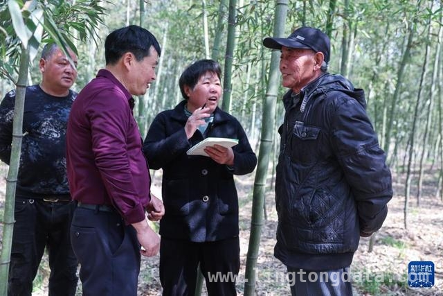 “和板凳议事会”发力，诸暨十里坪村解决群众“急难愁盼”，创新“和板凳议事会”，诸暨十里坪村党群携手破难题