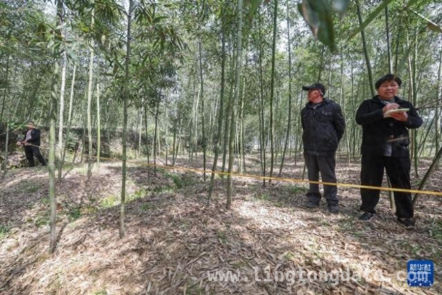 “和板凳议事会”发力，诸暨十里坪村解决群众“急难愁盼”，创新“和板凳议事会”，诸暨十里坪村党群携手破难题