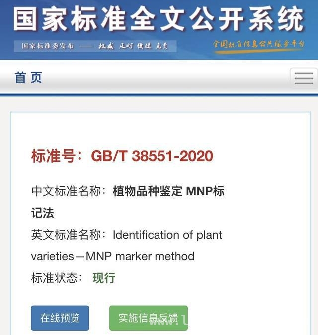 玉米种子纠纷频发，亲子关系鉴定标准何时出台？，亿元玉米种子索赔案，揭开种业知识产权保护困局