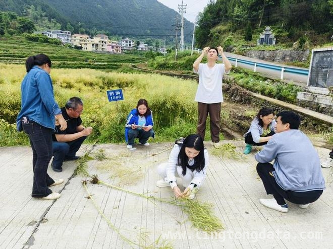 政策加持，贵州青年发展活力奔涌，从校园到田园，贵州青年创业奏响发展强音