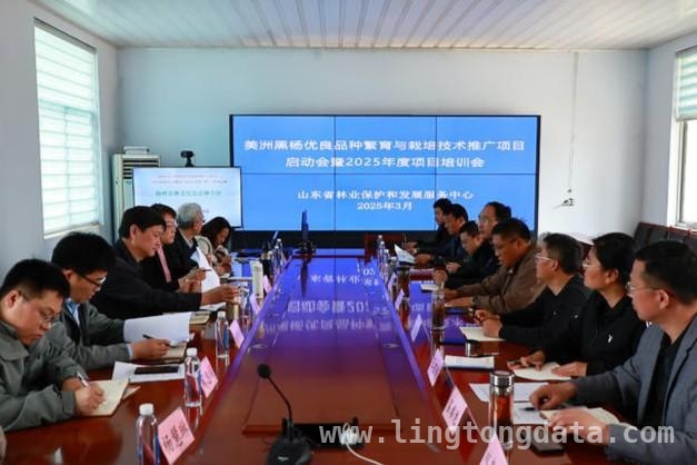 费县召开林业项目启动会，为无絮杨树繁育栽培提速