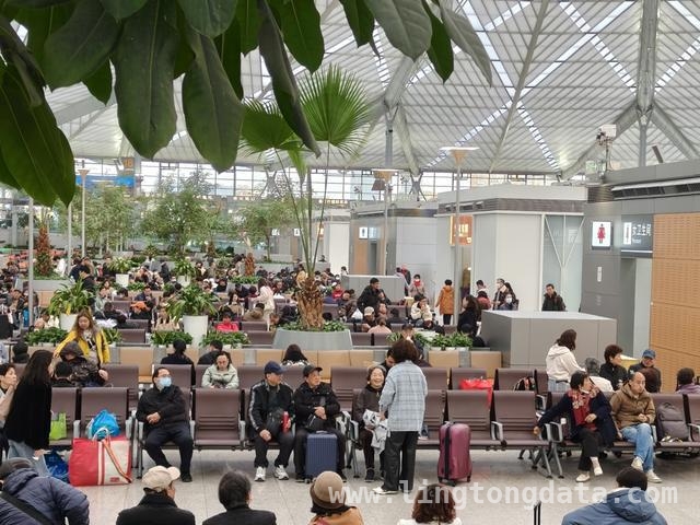 2025清明铁路出行：上海站亮点多，老年旅客更安心！