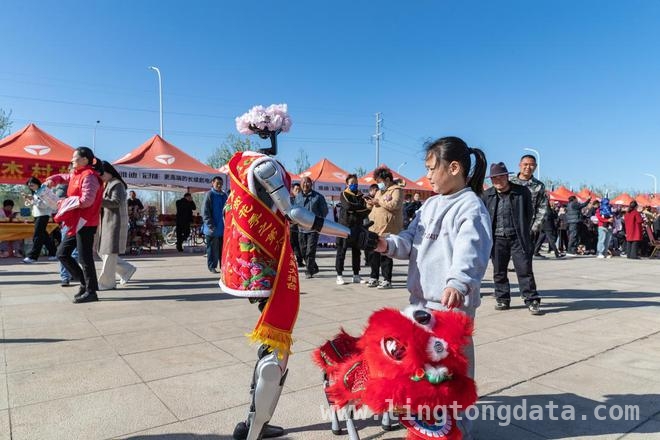 金乡梨花节：以花为媒，解锁乡村振兴新密码