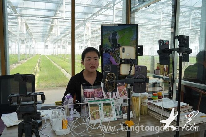 曹县芦笋：从田间到全球的全产业链奇迹，一根芦笋的传奇：曹县农业产业的崛起与蜕变